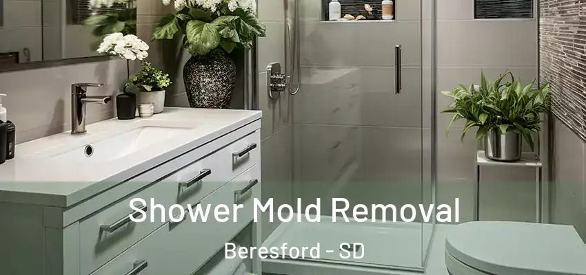  Shower Mold Removal Beresford - SD