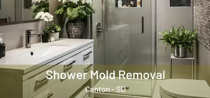  Shower Mold Removal Canton - SD