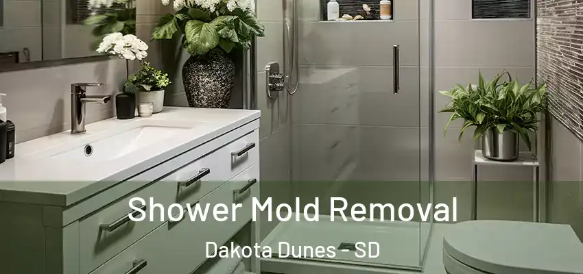 Shower Mold Removal Dakota Dunes - SD