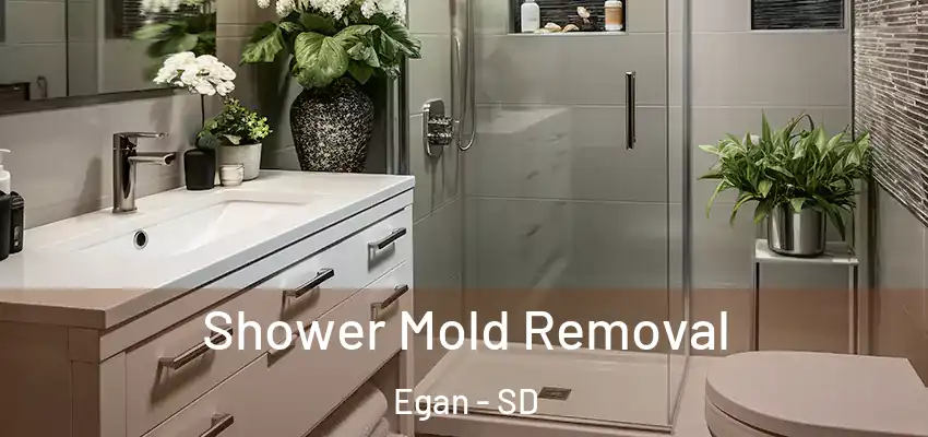 Shower Mold Removal Egan - SD