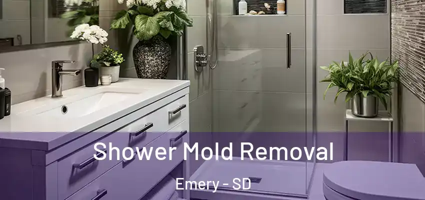  Shower Mold Removal Emery - SD