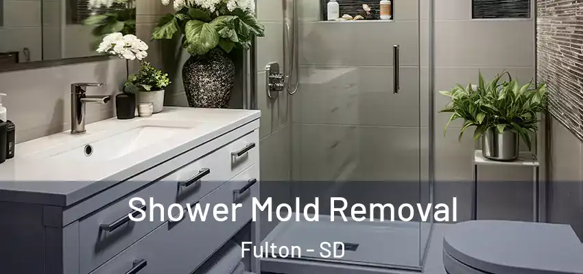 Shower Mold Removal Fulton - SD