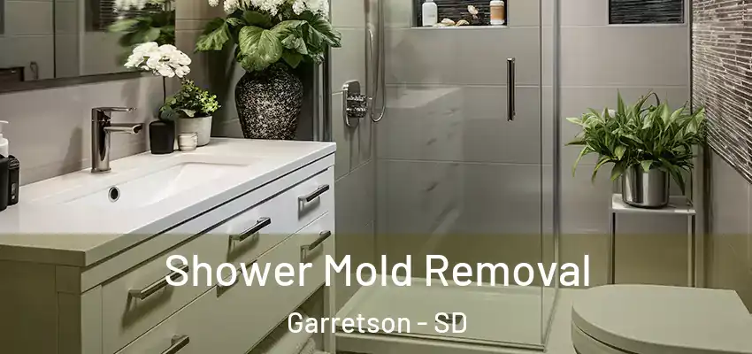 Shower Mold Removal Garretson - SD