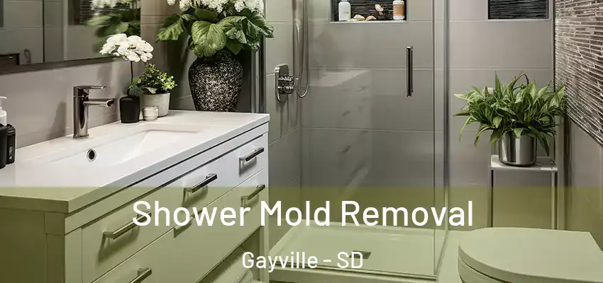 Shower Mold Removal Gayville - SD