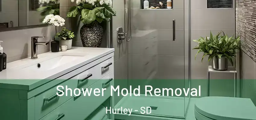 Shower Mold Removal Hurley - SD