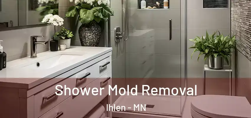 Shower Mold Removal Ihlen - MN