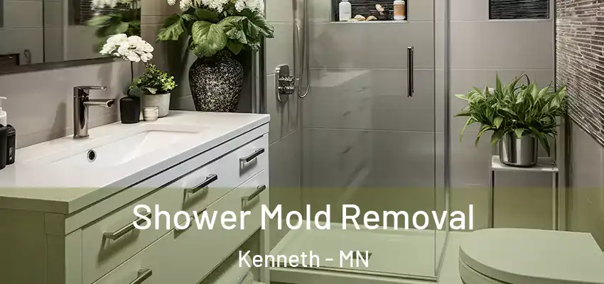 Shower Mold Removal Kenneth - MN