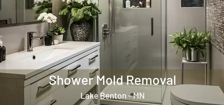 Shower Mold Removal Lake Benton - MN