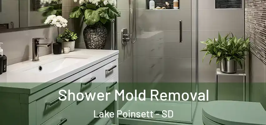  Shower Mold Removal Lake Poinsett - SD
