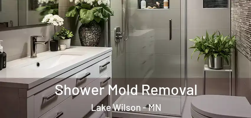 Shower Mold Removal Lake Wilson - MN