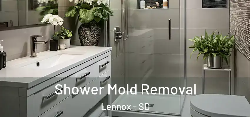 Shower Mold Removal Lennox - SD