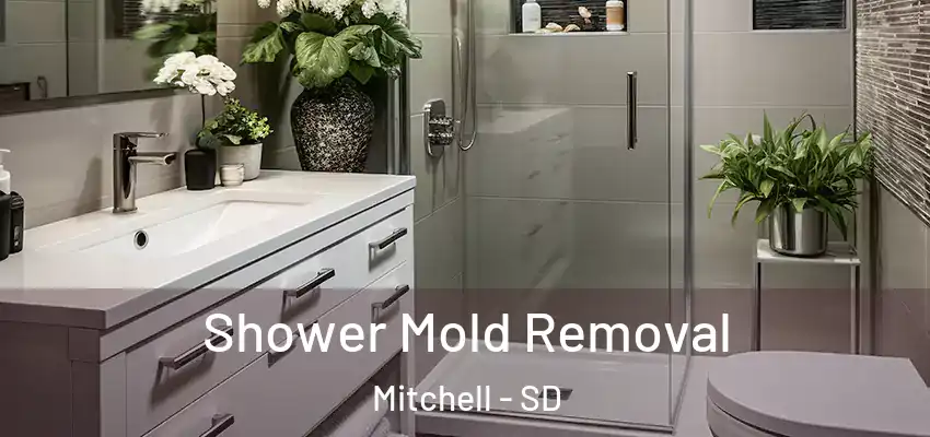  Shower Mold Removal Mitchell - SD