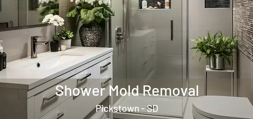  Shower Mold Removal Pickstown - SD