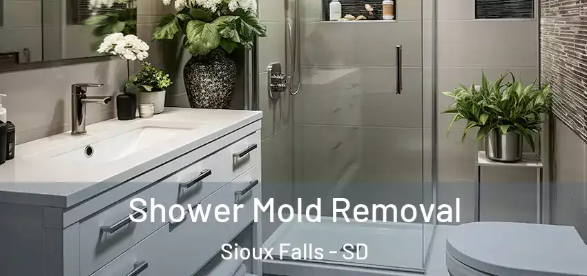 Shower Mold Removal Sioux Falls - SD