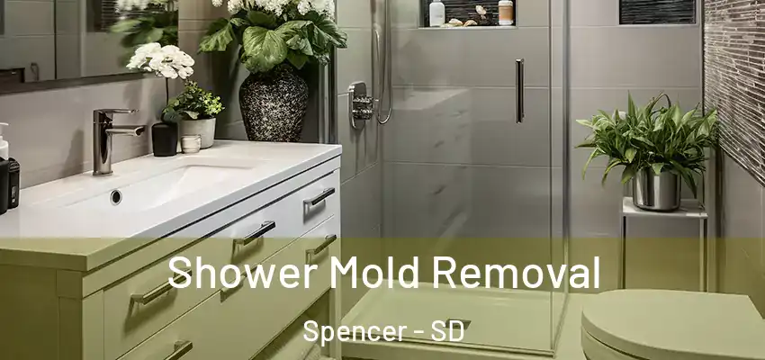  Shower Mold Removal Spencer - SD