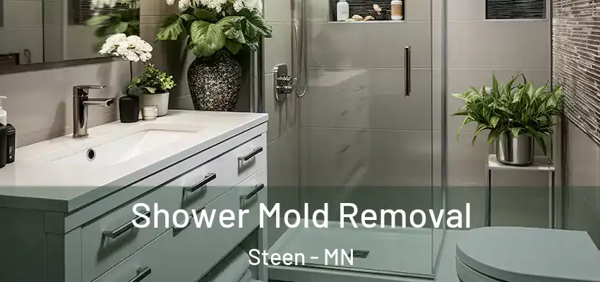  Shower Mold Removal Steen - MN