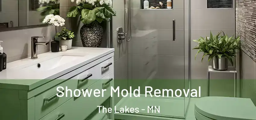  Shower Mold Removal The Lakes - MN