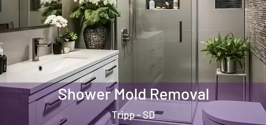  Shower Mold Removal Tripp - SD