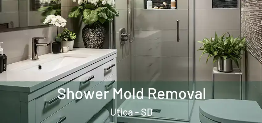 Shower Mold Removal Utica - SD