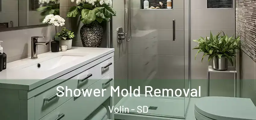 Shower Mold Removal Volin - SD
