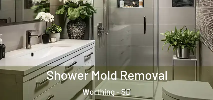 Shower Mold Removal Worthing - SD