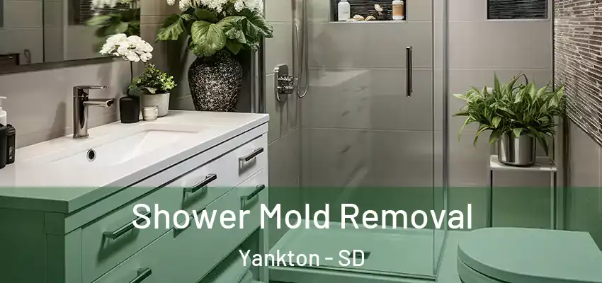 Shower Mold Removal Yankton - SD